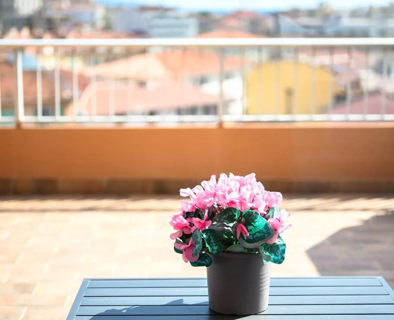 'L'Alicante Proche' Gare, Terrasse, Vue Mer Menton 0*,  France